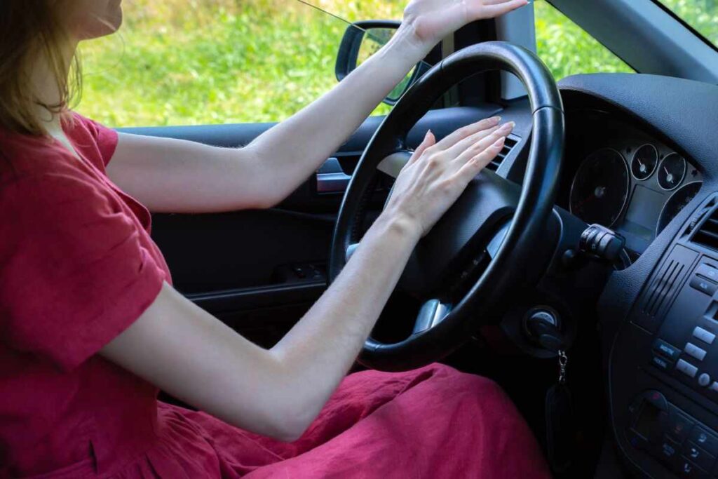 Automobilista